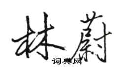 骆恒光林蔚行书个性签名怎么写