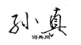 骆恒光孙真行书个性签名怎么写