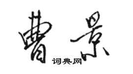 骆恒光曹景行书个性签名怎么写
