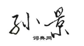 骆恒光孙景行书个性签名怎么写