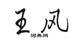 骆恒光王风行书个性签名怎么写