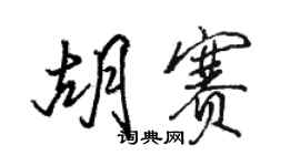 骆恒光胡赛行书个性签名怎么写