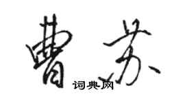 骆恒光曹苏行书个性签名怎么写