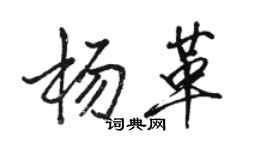 骆恒光杨革行书个性签名怎么写