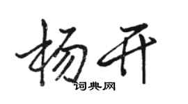 骆恒光杨开行书个性签名怎么写