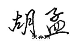 骆恒光胡孟行书个性签名怎么写