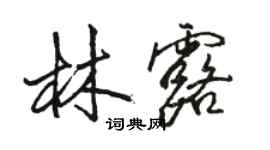 骆恒光林露行书个性签名怎么写
