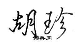 骆恒光胡珍行书个性签名怎么写