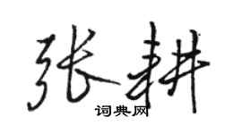 骆恒光张耕行书个性签名怎么写