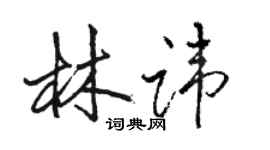 骆恒光林讳行书个性签名怎么写