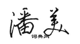 骆恒光潘美行书个性签名怎么写