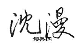 骆恒光沈漫行书个性签名怎么写