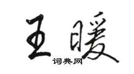 骆恒光王暖行书个性签名怎么写