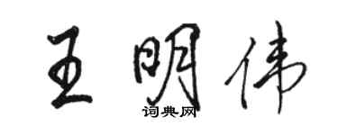 骆恒光王明伟行书个性签名怎么写