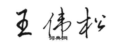骆恒光王伟松行书个性签名怎么写