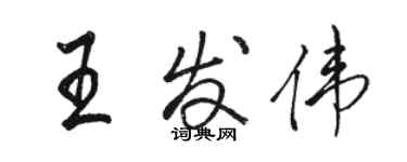 骆恒光王发伟行书个性签名怎么写