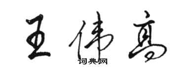 骆恒光王伟高行书个性签名怎么写
