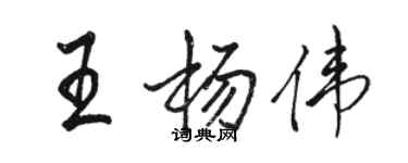 骆恒光王杨伟行书个性签名怎么写