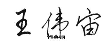 骆恒光王伟宙行书个性签名怎么写