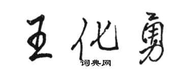 骆恒光王化勇行书个性签名怎么写