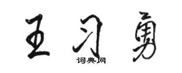 骆恒光王习勇行书个性签名怎么写