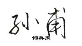 骆恒光孙甫行书个性签名怎么写