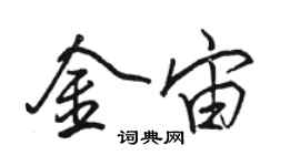 骆恒光金宙行书个性签名怎么写