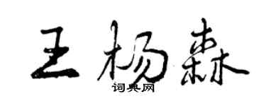 曾庆福王杨森行书个性签名怎么写