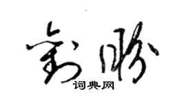 梁锦英刘盼草书个性签名怎么写