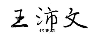 曾庆福王沛文行书个性签名怎么写