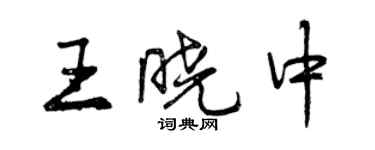 曾庆福王晓中行书个性签名怎么写