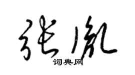 梁锦英张胤草书个性签名怎么写