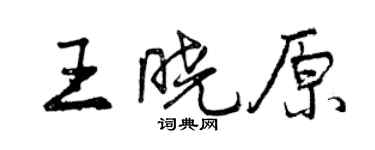 曾庆福王晓原行书个性签名怎么写
