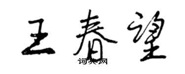 曾庆福王春望行书个性签名怎么写
