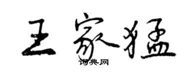 曾庆福王家猛行书个性签名怎么写