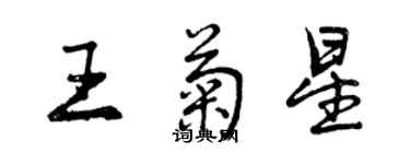 曾庆福王菊星行书个性签名怎么写