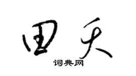 梁锦英田夭草书个性签名怎么写
