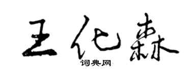 曾庆福王化森行书个性签名怎么写