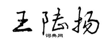 曾庆福王陆扬行书个性签名怎么写