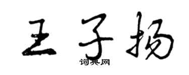 曾庆福王子扬行书个性签名怎么写