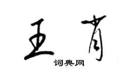 梁锦英王肖草书个性签名怎么写