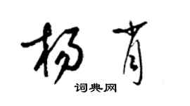 梁锦英杨肖草书个性签名怎么写