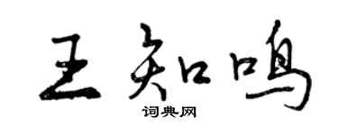 曾庆福王知鸣行书个性签名怎么写
