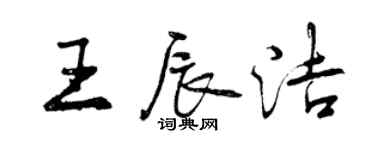 曾庆福王辰洁行书个性签名怎么写