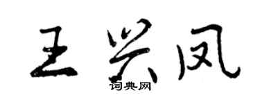 曾庆福王兴凤行书个性签名怎么写