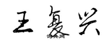 曾庆福王复兴行书个性签名怎么写