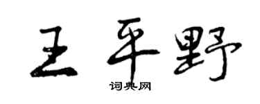 曾庆福王平野行书个性签名怎么写