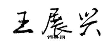 曾庆福王展兴行书个性签名怎么写