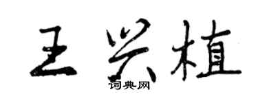 曾庆福王兴植行书个性签名怎么写