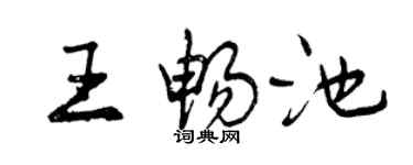 曾庆福王畅池行书个性签名怎么写